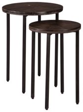 Esterdale Accent Table (Set of 2)