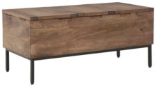 Braddick Storage Trunk