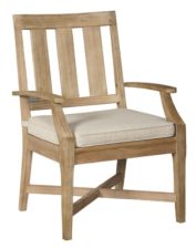 Clare View Arm Chair with Cushion (Set of 2)