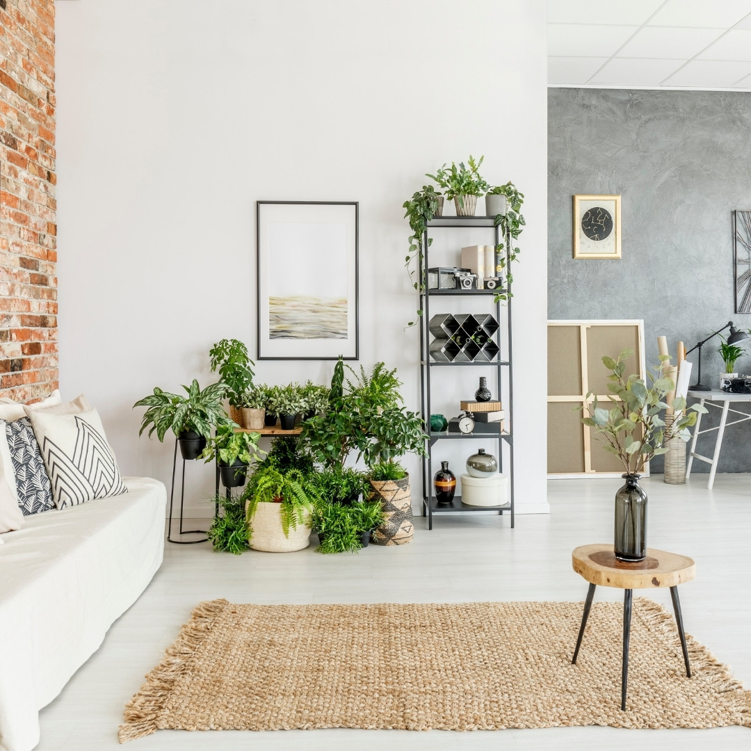 living room with live plants